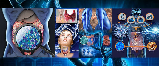 MIKROBIOM: Hogyan válassz probiotikumot, és mi minden függ a bélflóra összetételétől?