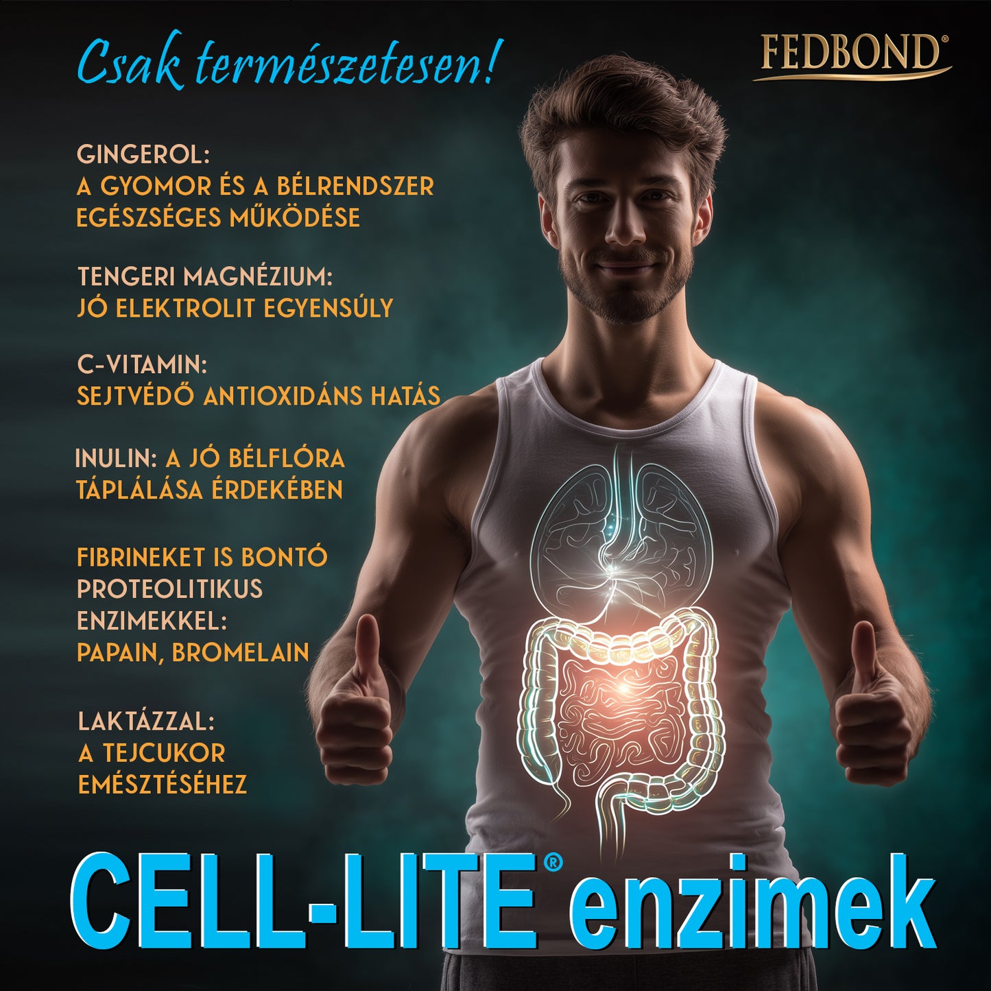 CELL-LITE® - Enzimatikus emésztés laktázzal