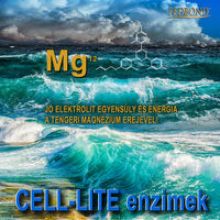 CELL-LITE® - Enzimatikus emésztés laktázzal