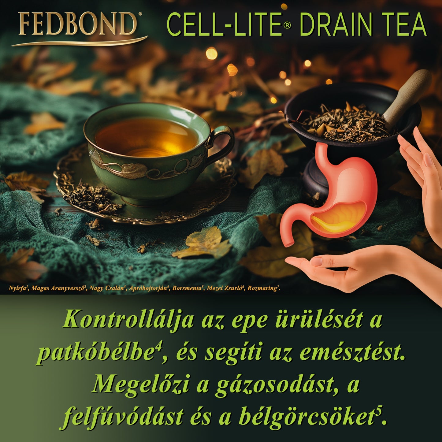 CELL-LITE® DRAIN TEA - Veseműködés - Vízhajtás