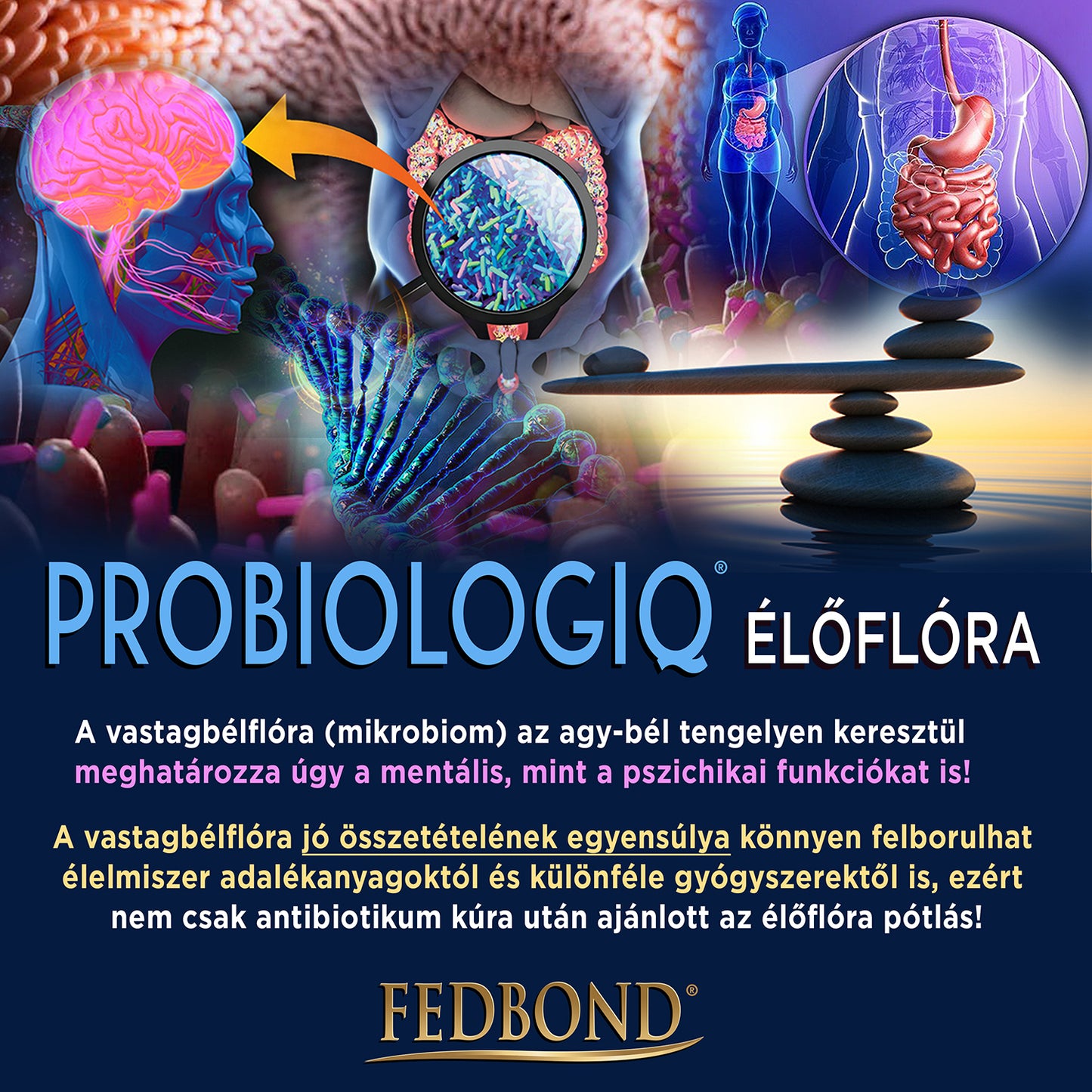 PROBIOLOGIQ® - Vastagbél mikrobiom/élőflóra pótlás