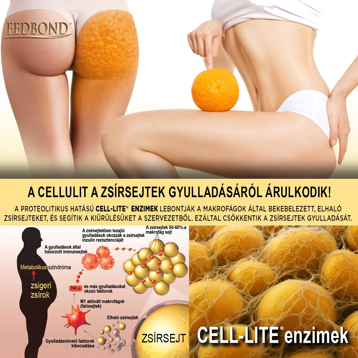 CELL-LITE® - Enzimatikus emésztés laktázzal