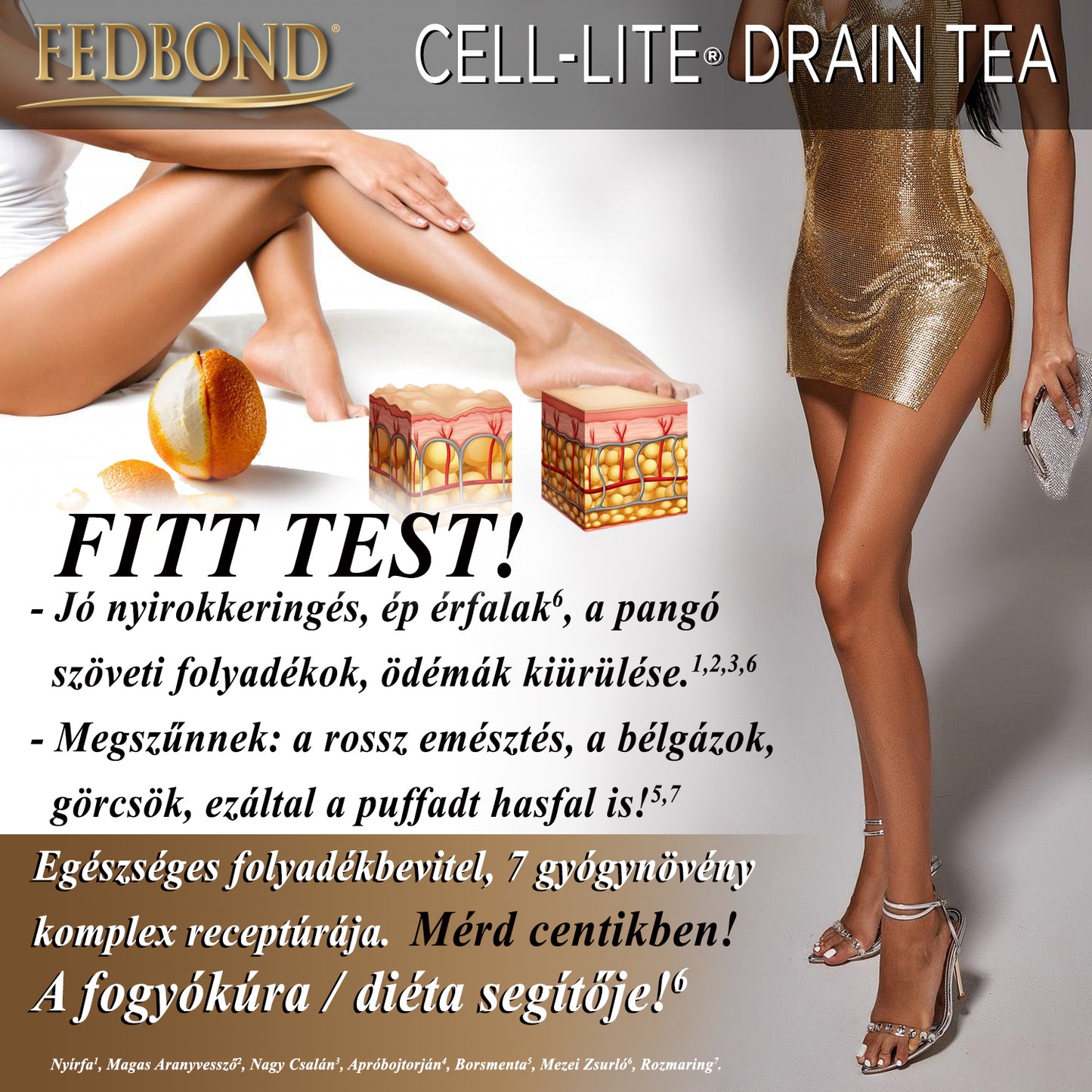 CELL-LITE® DRAIN TEA - Veseműködés - Vízhajtás