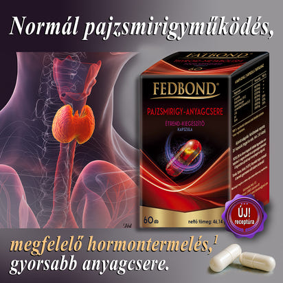 PAJZSMIRIGY - Anyagcsere - Zsírégetés