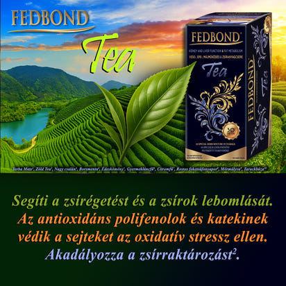 FEDBOND® TEA - Májműködés - Epetermelés