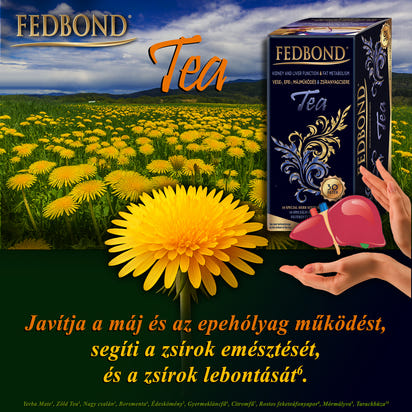 FEDBOND® TEA - Májműködés - Epetermelés