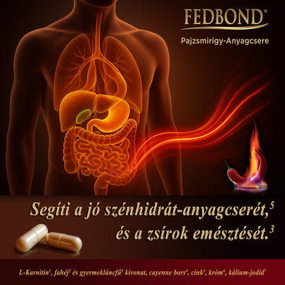 PAJZSMIRIGY - Anyagcsere - Zsírégetés