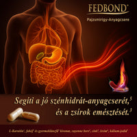 PAJZSMIRIGY - Anyagcsere - Zsírégetés
