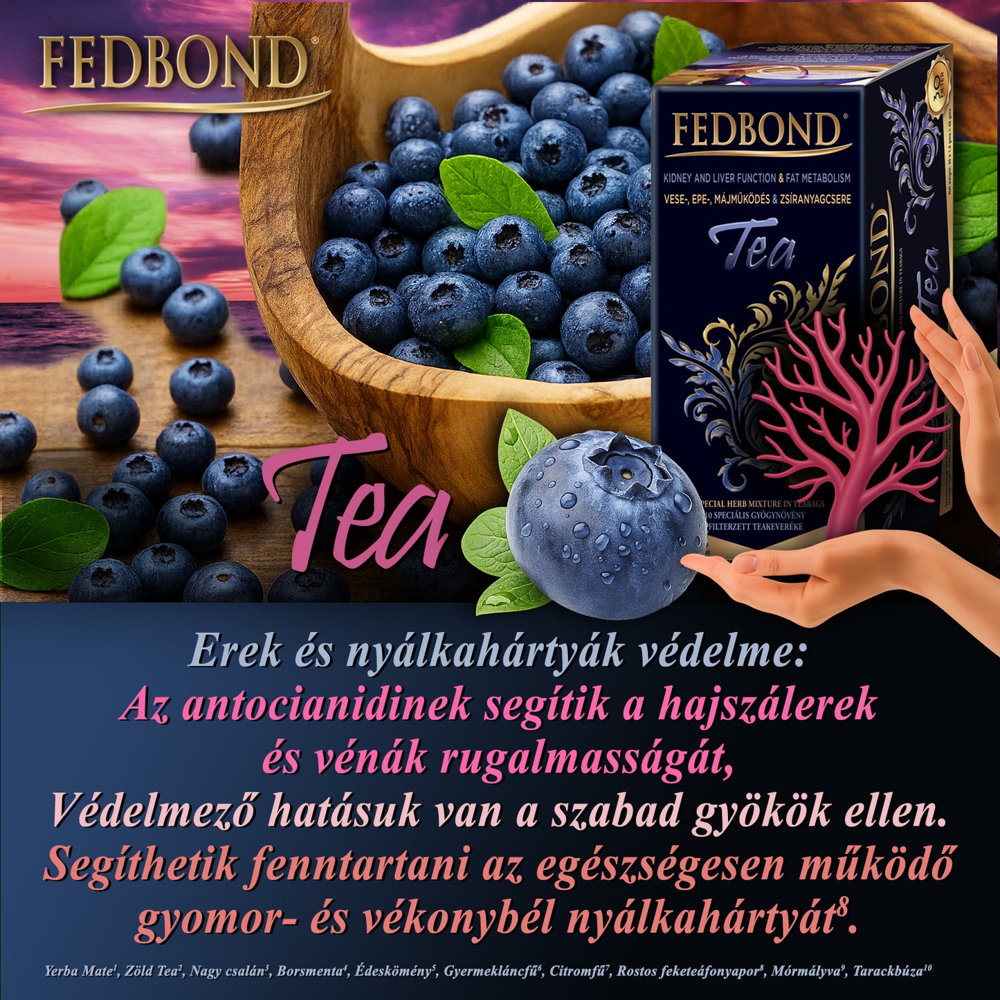 FEDBOND® TEA - Májműködés - Epetermelés