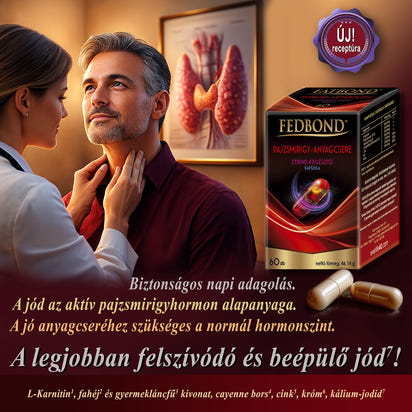 PAJZSMIRIGY - Anyagcsere - Zsírégetés