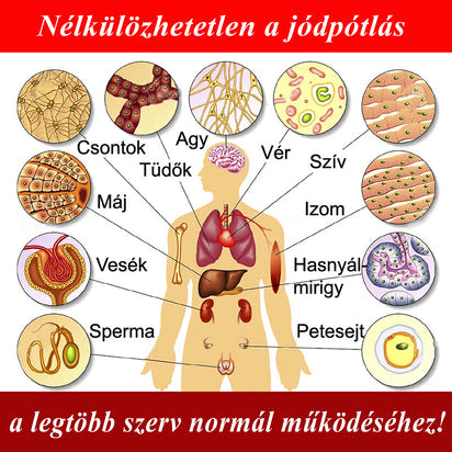 PAJZSMIRIGY - Anyagcsere - Zsírégetés