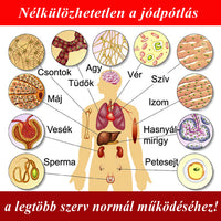 PAJZSMIRIGY - Anyagcsere - Zsírégetés