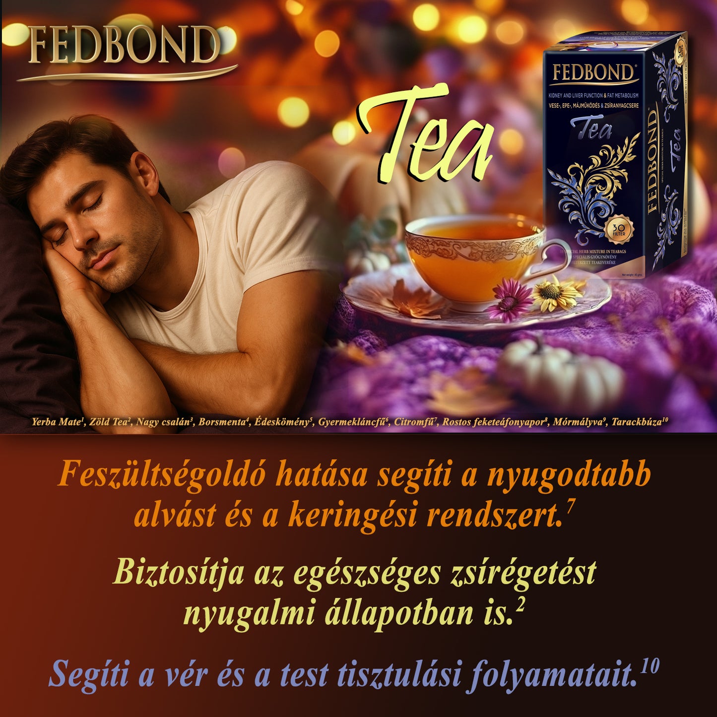 FEDBOND® TEA - Májműködés - Epetermelés
